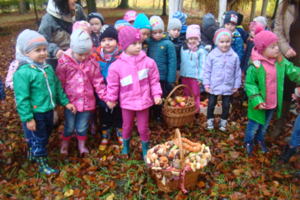 Mali odkrywcy z Misia w odwiedzinach u leśnych przyjaciół