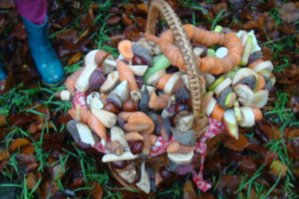 Mali odkrywcy z Misia w odwiedzinach u leśnych przyjaciół