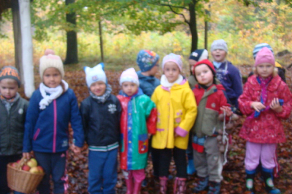 Mali odkrywcy z Misia w odwiedzinach u leśnych przyjaciół