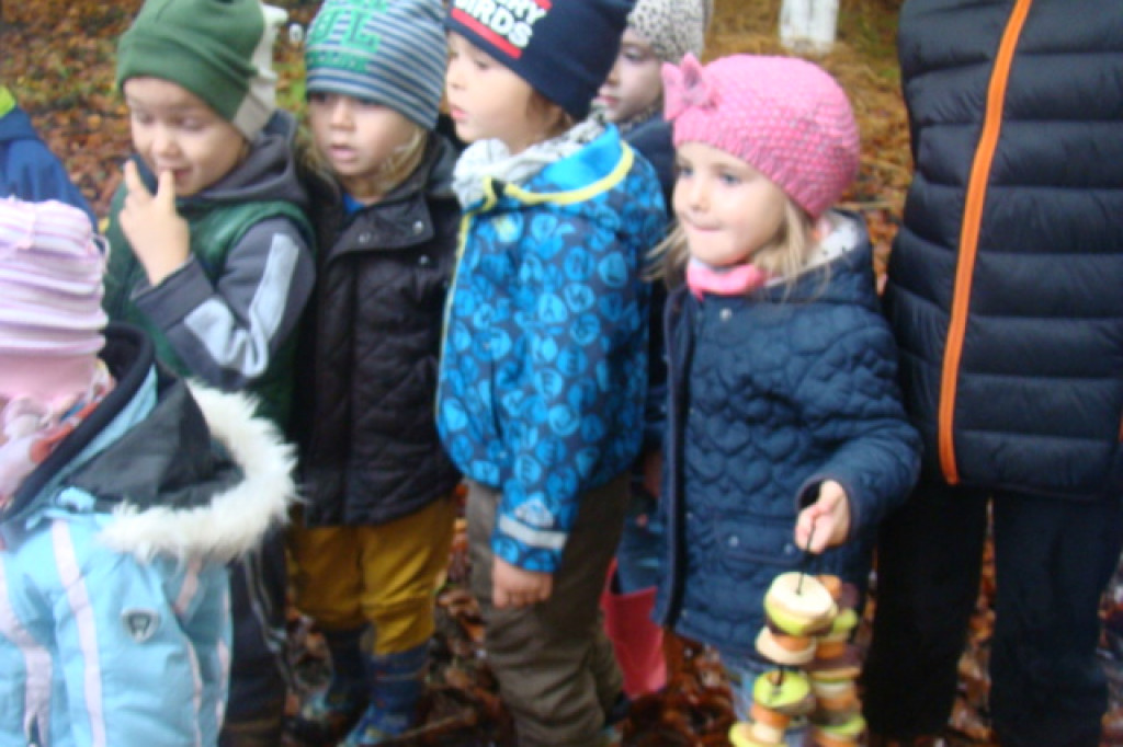 Mali odkrywcy z Misia w odwiedzinach u leśnych przyjaciół