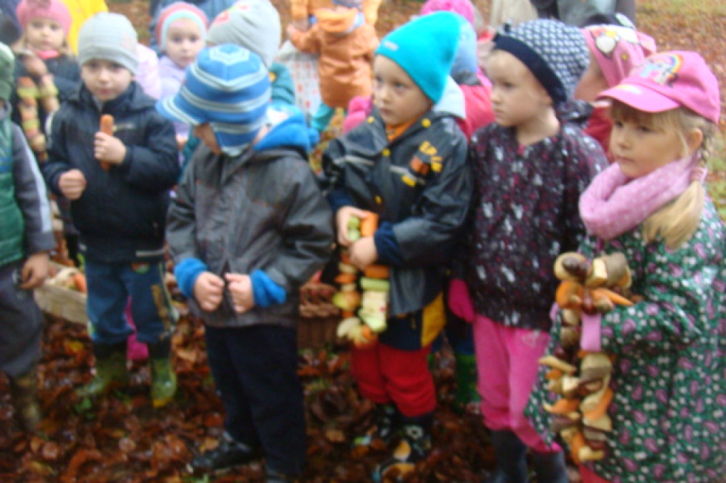 Mali odkrywcy z Misia w odwiedzinach u leśnych przyjaciół