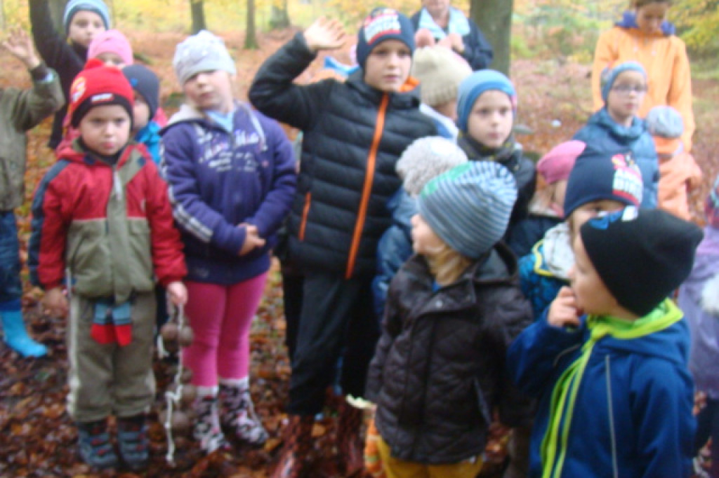 Mali odkrywcy z Misia w odwiedzinach u leśnych przyjaciół