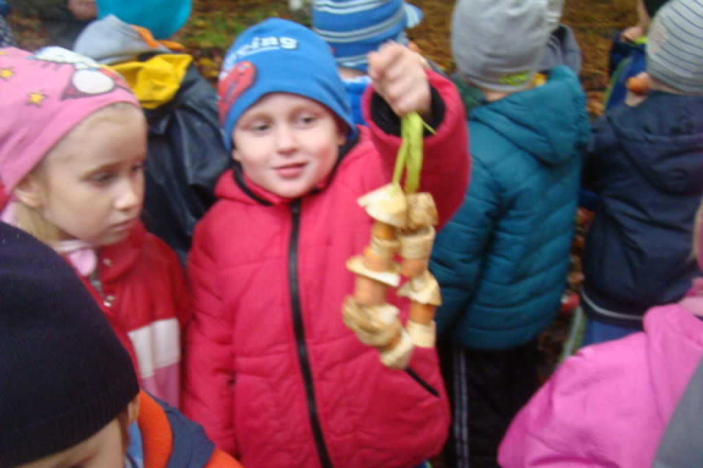 Mali odkrywcy z Misia w odwiedzinach u leśnych przyjaciół