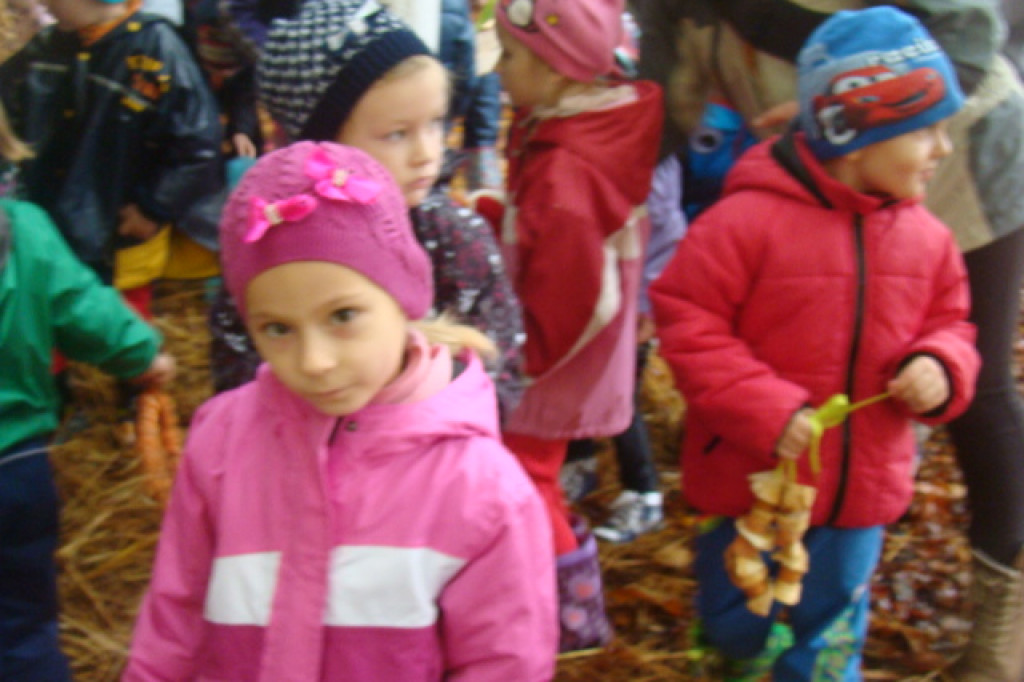 Mali odkrywcy z Misia w odwiedzinach u leśnych przyjaciół