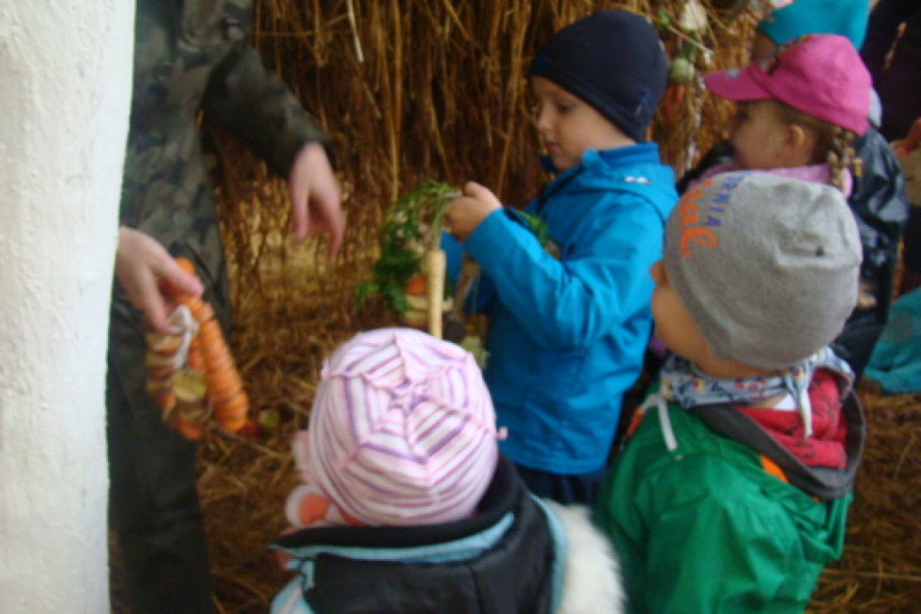 Mali odkrywcy z Misia w odwiedzinach u leśnych przyjaciół