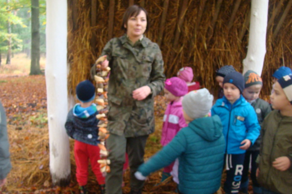 Mali odkrywcy z Misia w odwiedzinach u leśnych przyjaciół