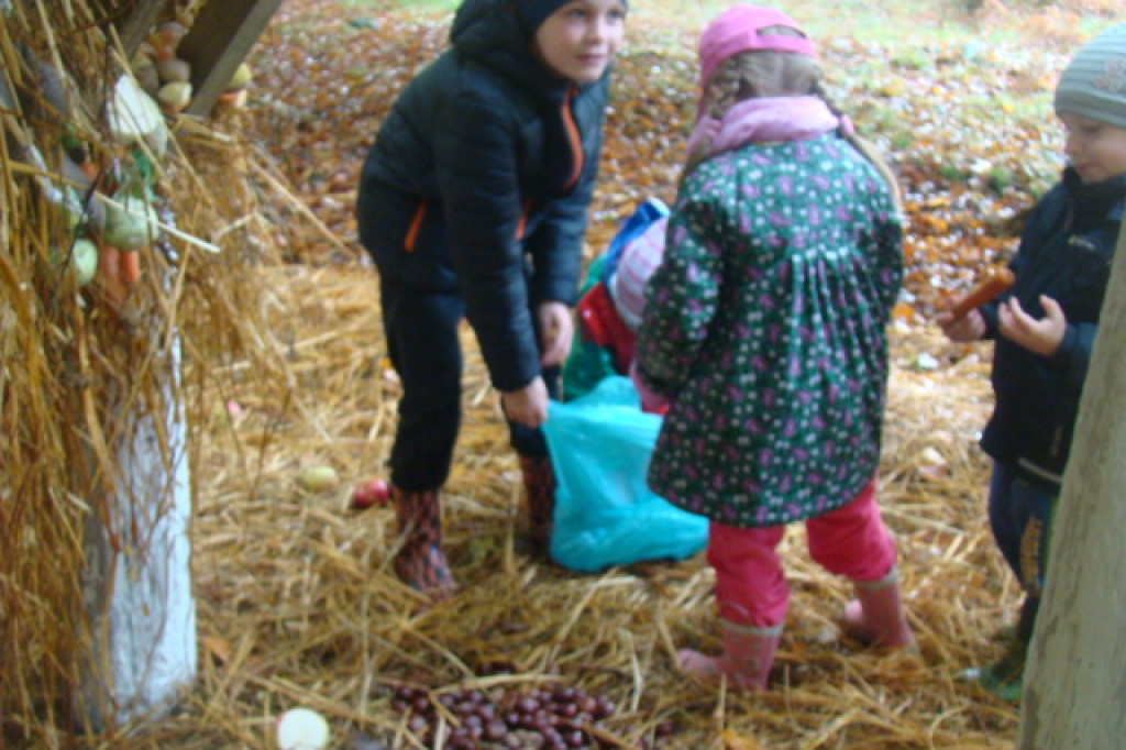 Mali odkrywcy z Misia w odwiedzinach u leśnych przyjaciół