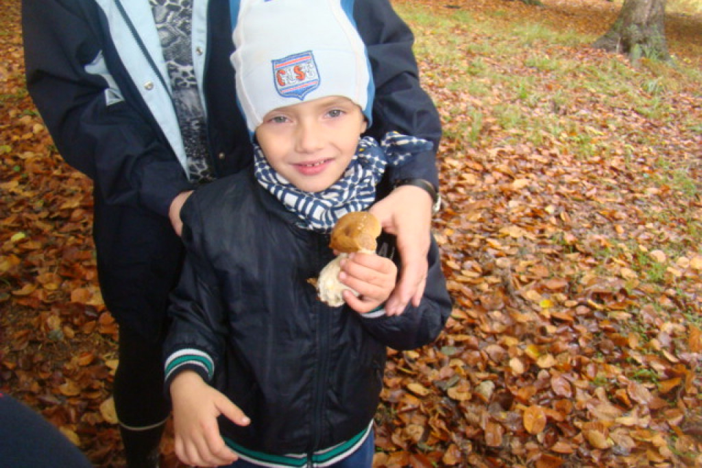 Mali odkrywcy z Misia w odwiedzinach u leśnych przyjaciół