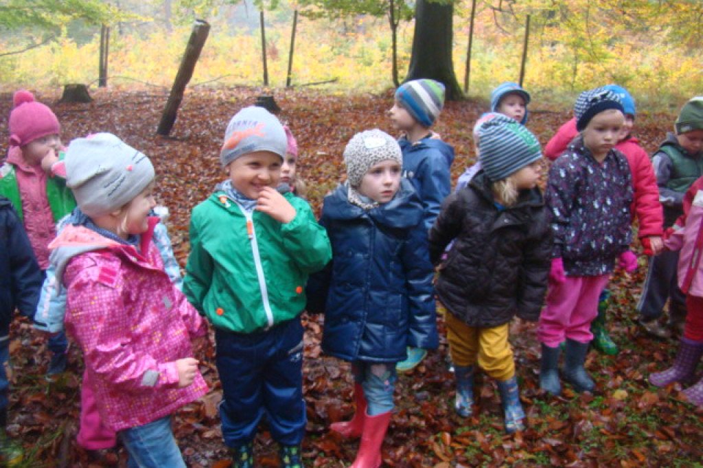 Mali odkrywcy z Misia w odwiedzinach u leśnych przyjaciół