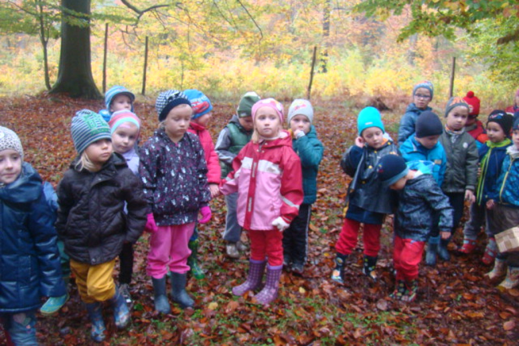 Mali odkrywcy z Misia w odwiedzinach u leśnych przyjaciół
