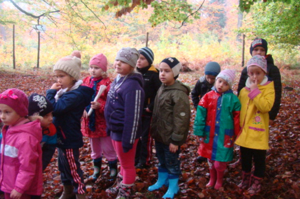 Mali odkrywcy z Misia w odwiedzinach u leśnych przyjaciół