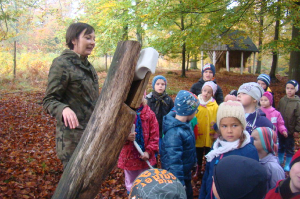 Mali odkrywcy z Misia w odwiedzinach u leśnych przyjaciół