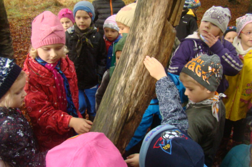 Mali odkrywcy z Misia w odwiedzinach u leśnych przyjaciół