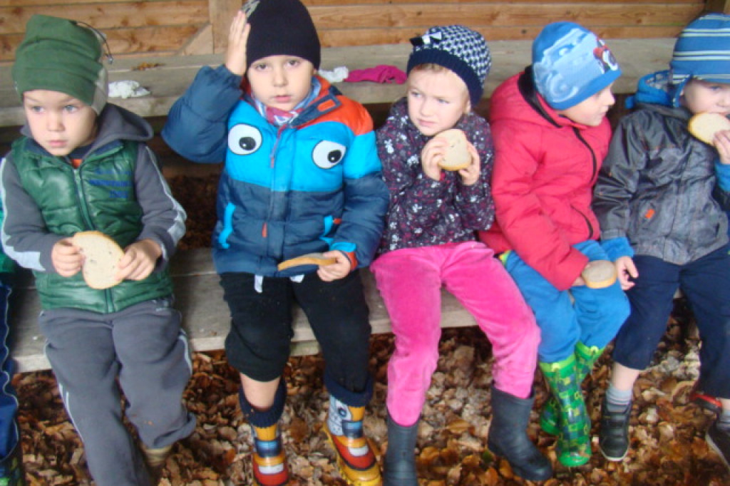 Mali odkrywcy z Misia w odwiedzinach u leśnych przyjaciół