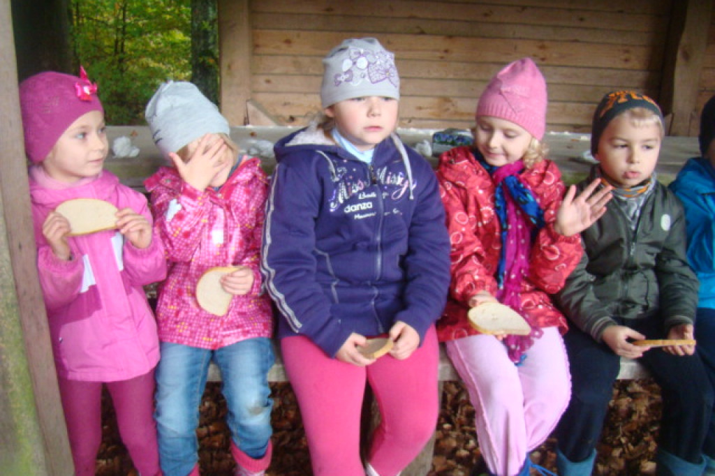 Mali odkrywcy z Misia w odwiedzinach u leśnych przyjaciół