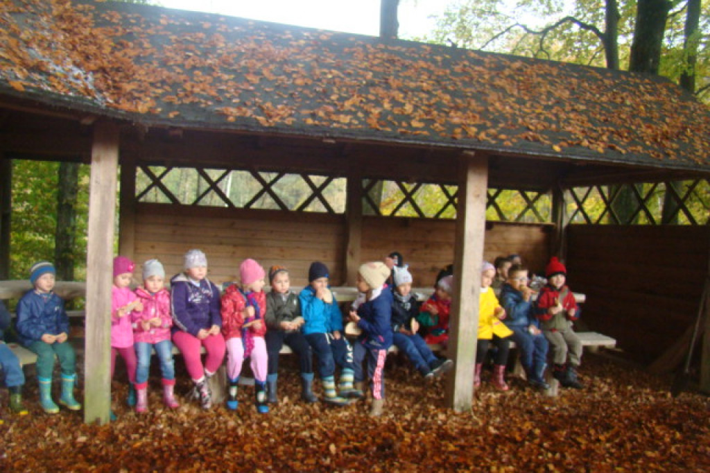 Mali odkrywcy z Misia w odwiedzinach u leśnych przyjaciół