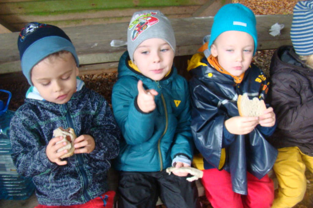 Mali odkrywcy z Misia w odwiedzinach u leśnych przyjaciół