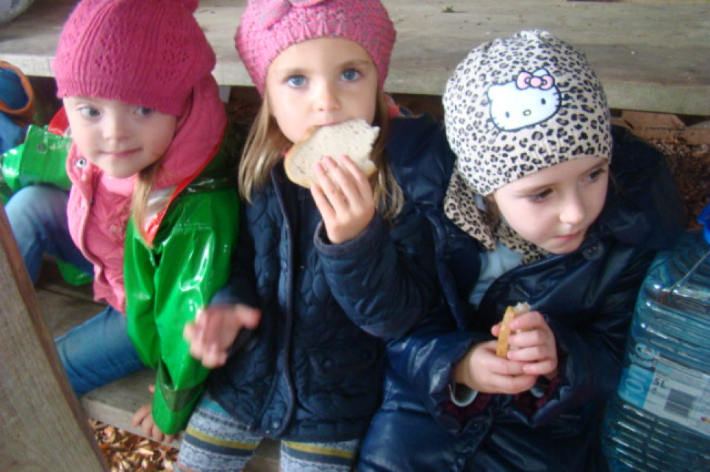 Mali odkrywcy z Misia w odwiedzinach u leśnych przyjaciół