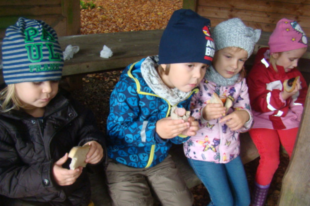 Mali odkrywcy z Misia w odwiedzinach u leśnych przyjaciół