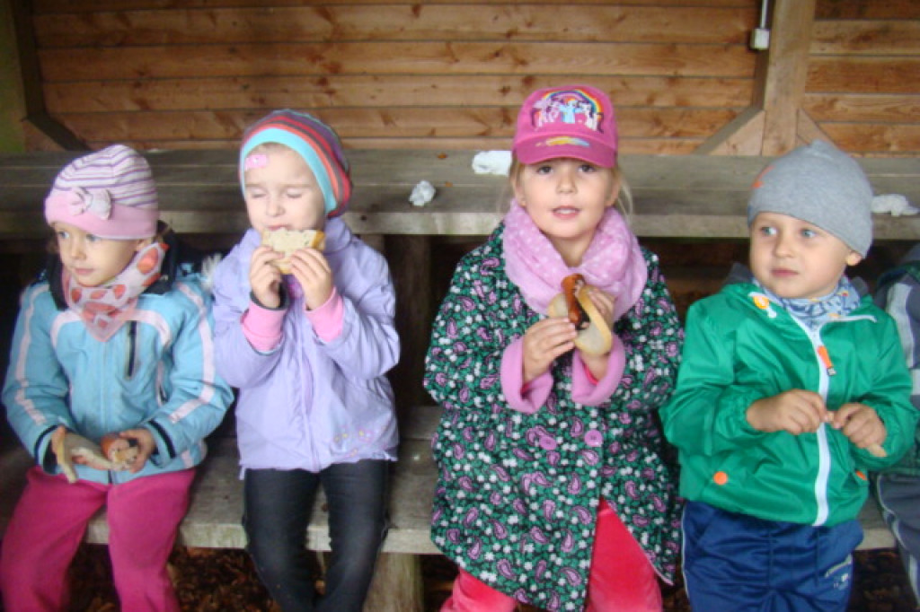 Mali odkrywcy z Misia w odwiedzinach u leśnych przyjaciół