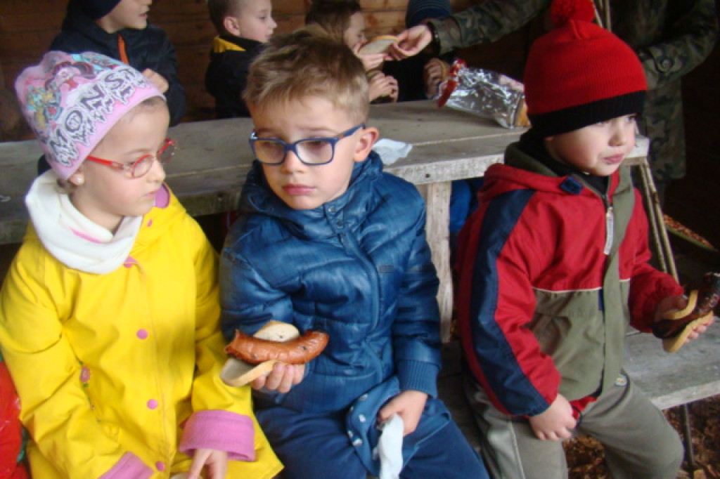 Mali odkrywcy z Misia w odwiedzinach u leśnych przyjaciół