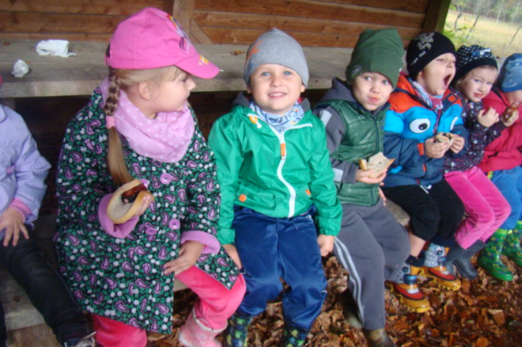 Mali odkrywcy z Misia w odwiedzinach u leśnych przyjaciół