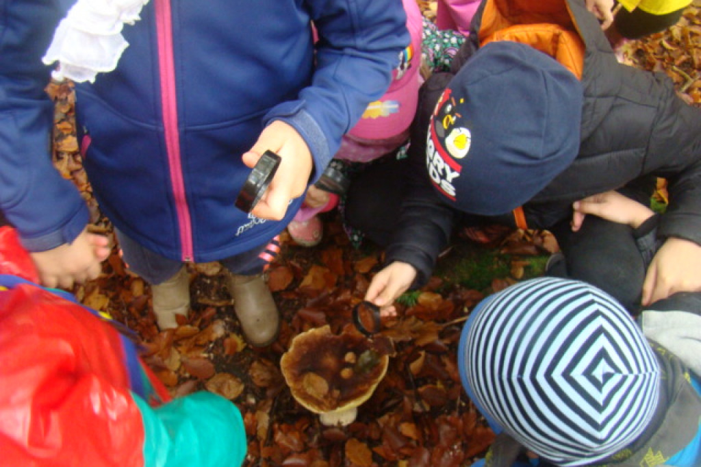 Mali odkrywcy z Misia w odwiedzinach u leśnych przyjaciół