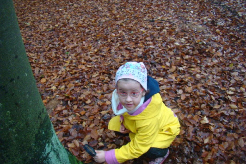 Mali odkrywcy z Misia w odwiedzinach u leśnych przyjaciół