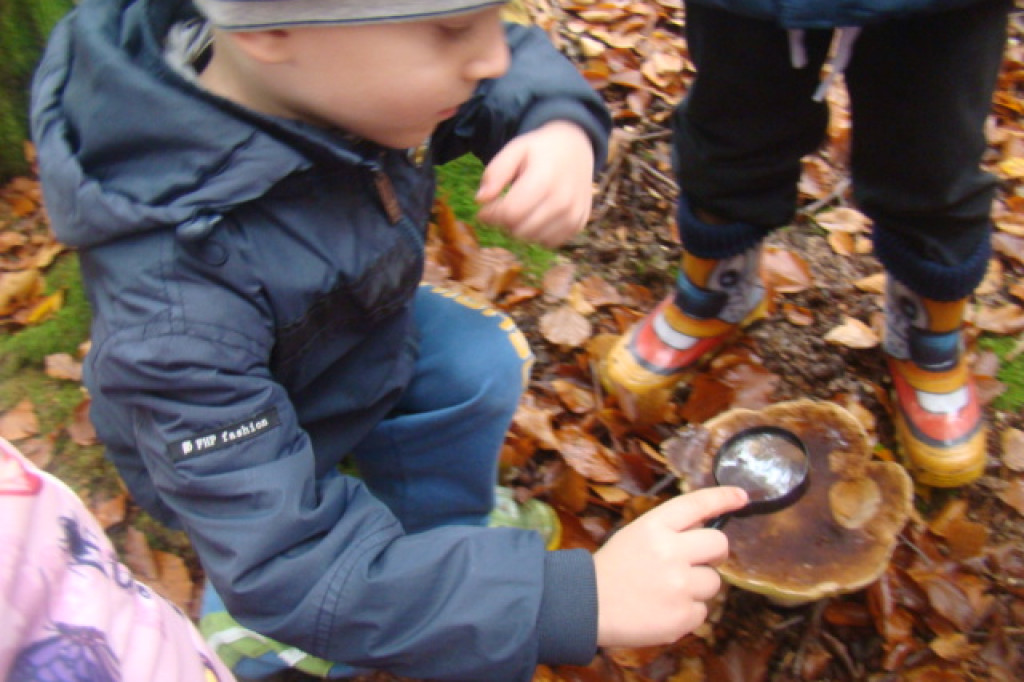 Mali odkrywcy z Misia w odwiedzinach u leśnych przyjaciół