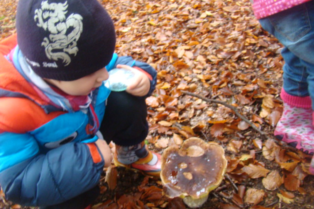 Mali odkrywcy z Misia w odwiedzinach u leśnych przyjaciół