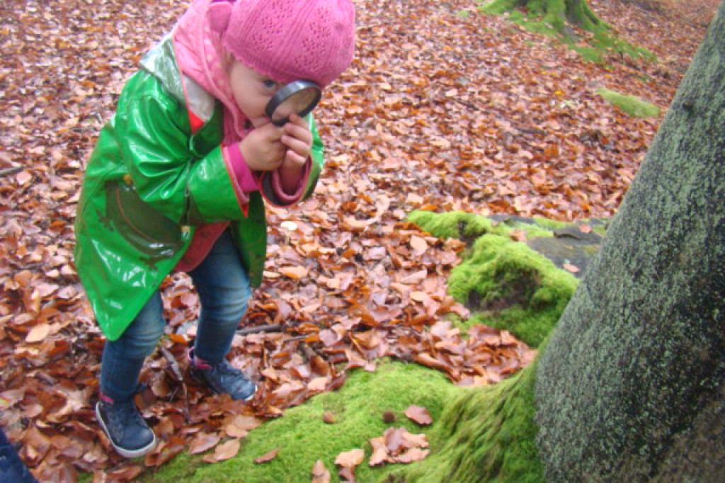 Mali odkrywcy z Misia w odwiedzinach u leśnych przyjaciół