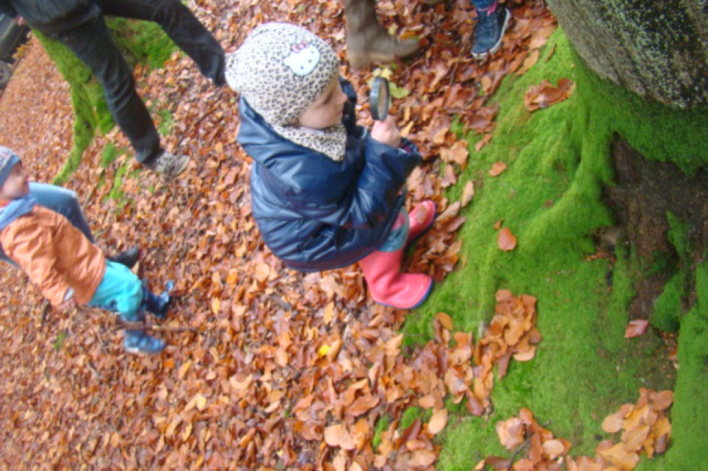 Mali odkrywcy z Misia w odwiedzinach u leśnych przyjaciół