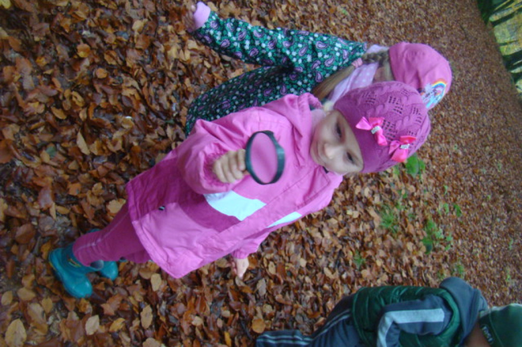 Mali odkrywcy z Misia w odwiedzinach u leśnych przyjaciół