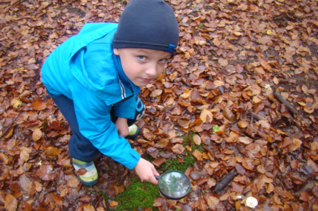 Mali odkrywcy z Misia w odwiedzinach u leśnych przyjaciół