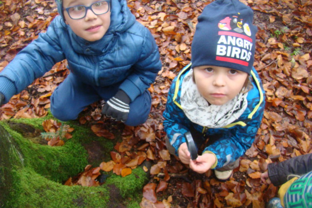 Mali odkrywcy z Misia w odwiedzinach u leśnych przyjaciół