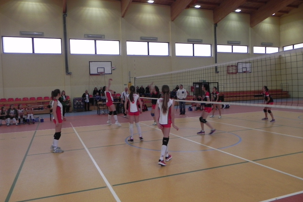 Młodziczki i kadetki Gryfa na start