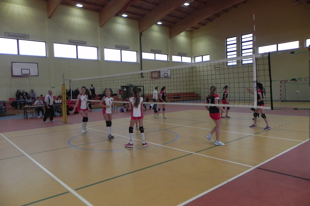 Młodziczki i kadetki Gryfa na start