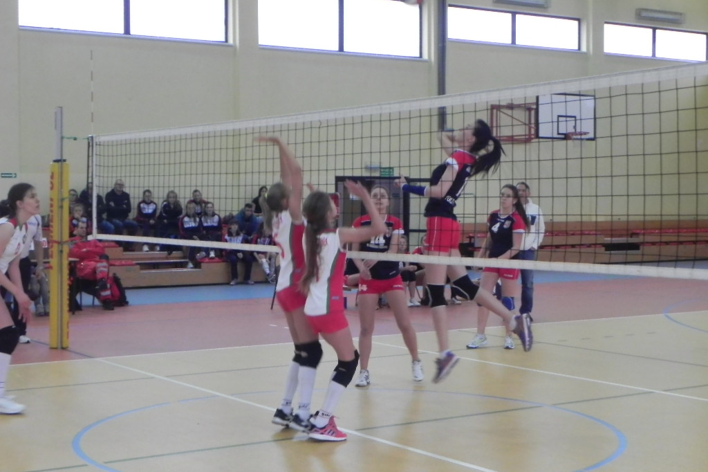 Młodziczki i kadetki Gryfa na start