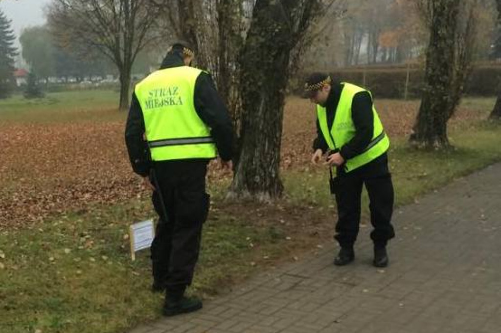 Nekrologi na szczecineckim cmentarzu nawiązujące do konfliktu na Ukrainie