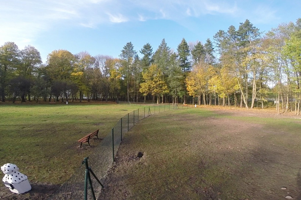 Wybieg dla psów w Szczeicnku