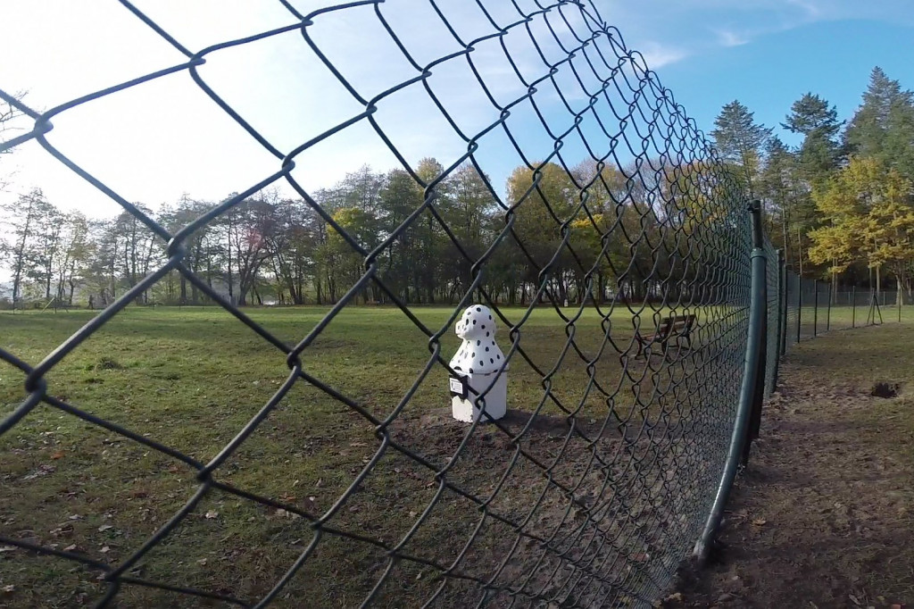 Wybieg dla psów w Szczeicnku