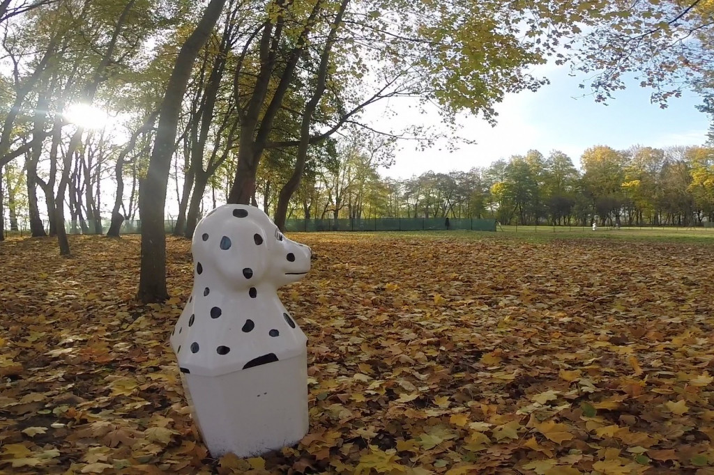 Wybieg dla psów w Szczeicnku