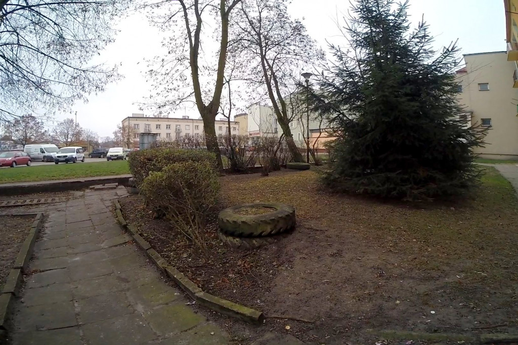 Opadły liście i odsłonił się bałagan