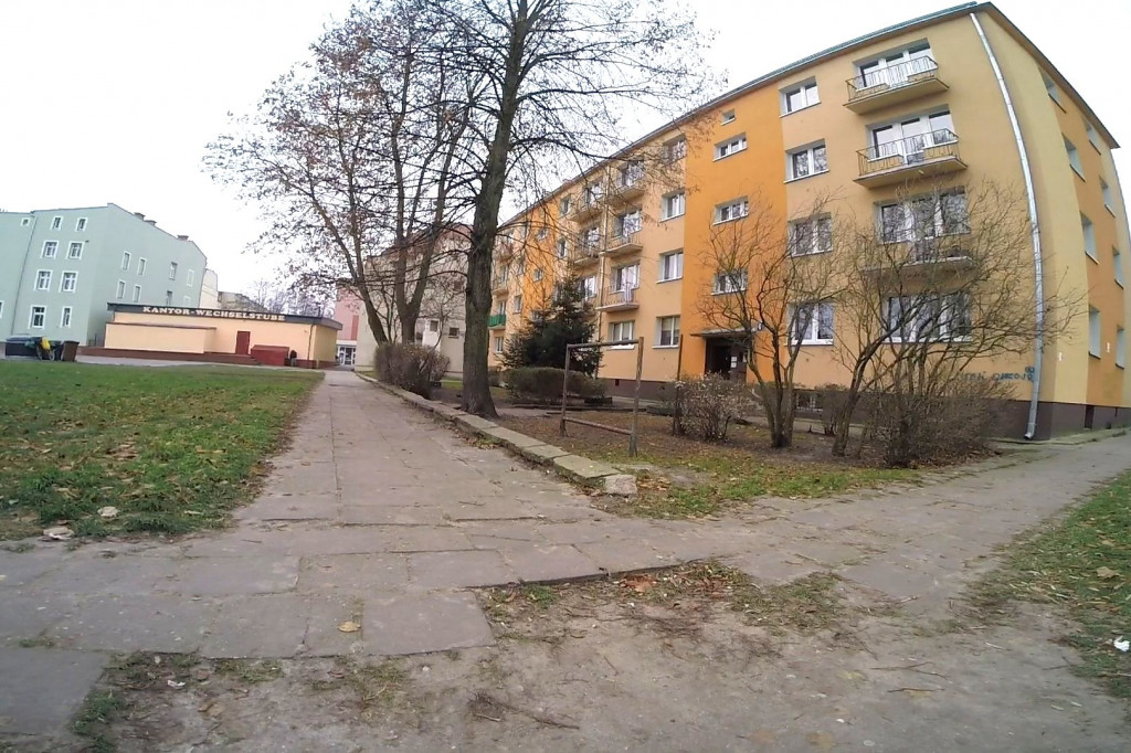 Opadły liście i odsłonił się bałagan