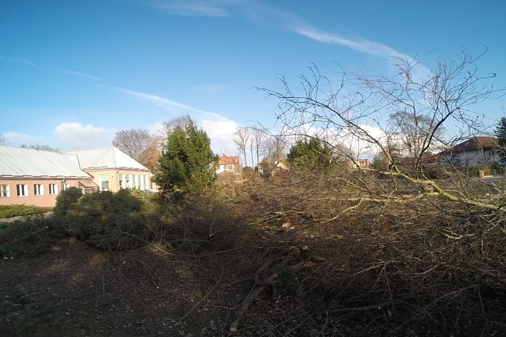 Wycinka na Szczecińskiej