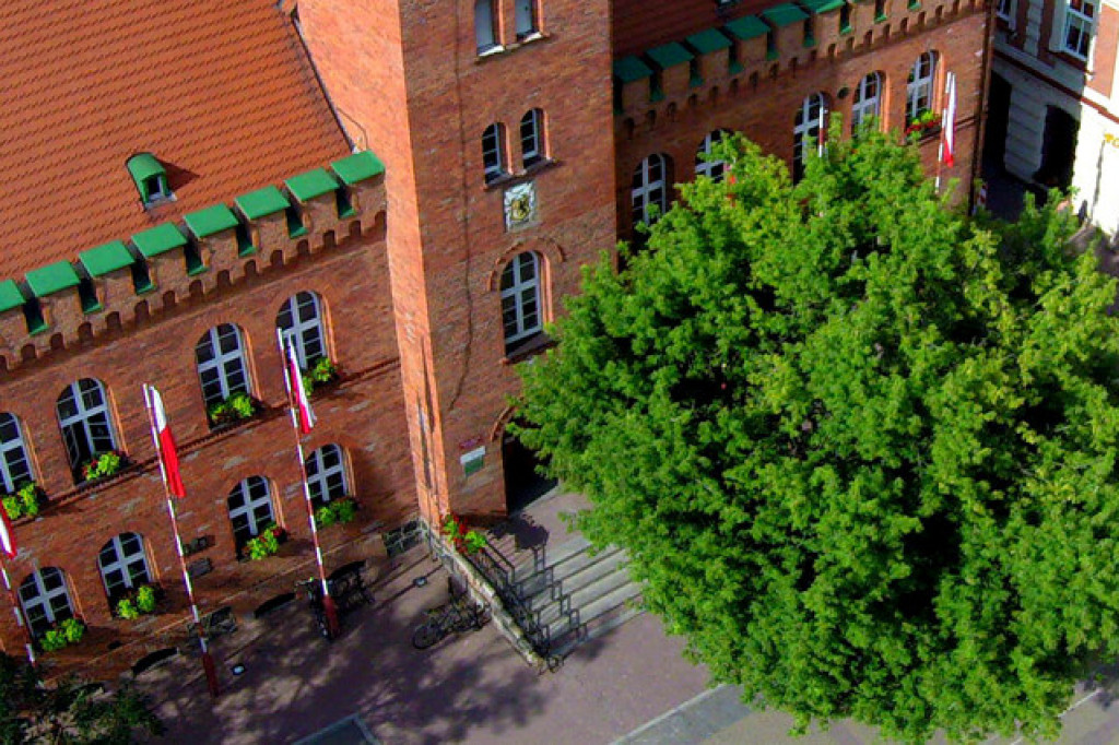 Pielęgnują przedratuszowy klon