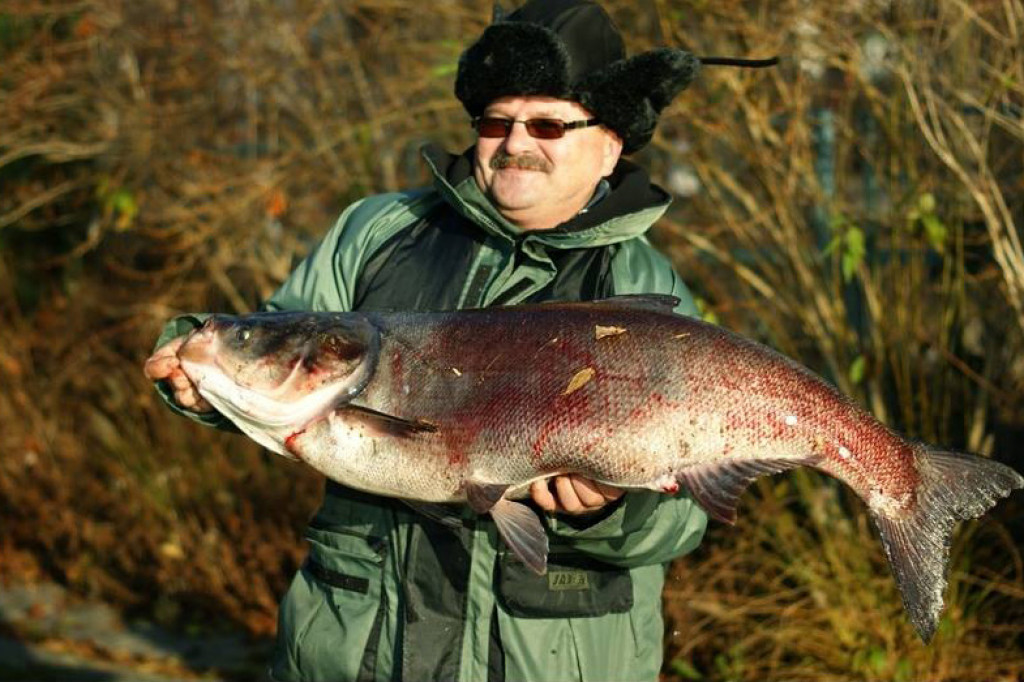 Rekordowy okaz z Trzesiecka - fot. Tomasz Agaszko