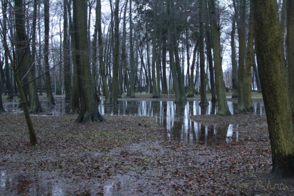 Intensywny deszcz daje się we znaki