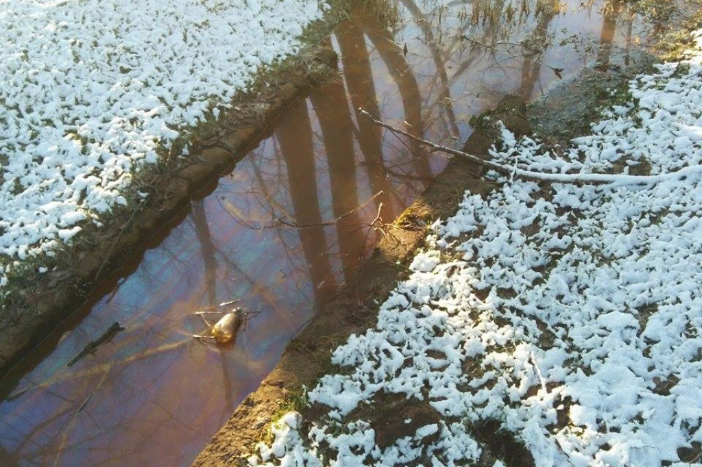 Do Trzesiecka wpływa woda w kolorze tęczy