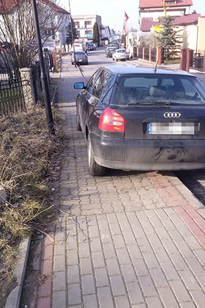 Mistrz parkowania -  galeria Czytelników